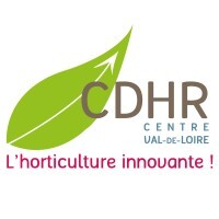 CDHR